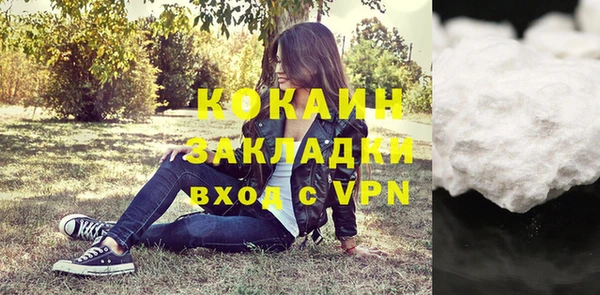соль ск Алексин