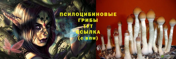 соль курить ск Арсеньев